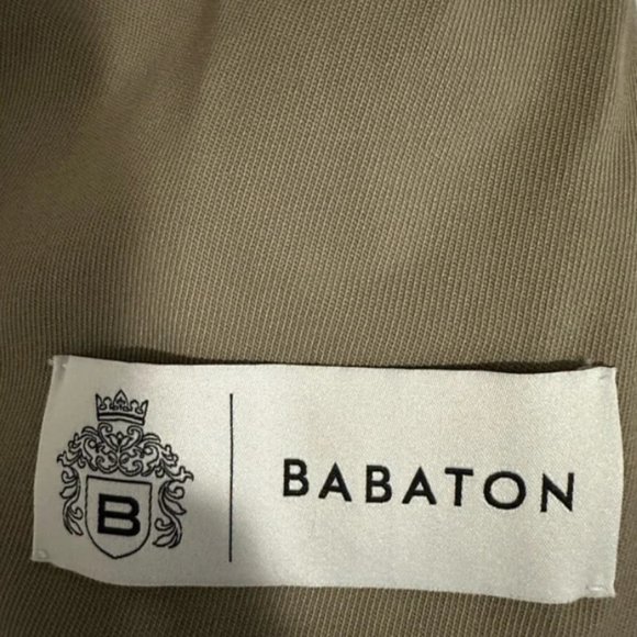 Babaton Atelier Blazer - Aritzia - Picture 3 of 4